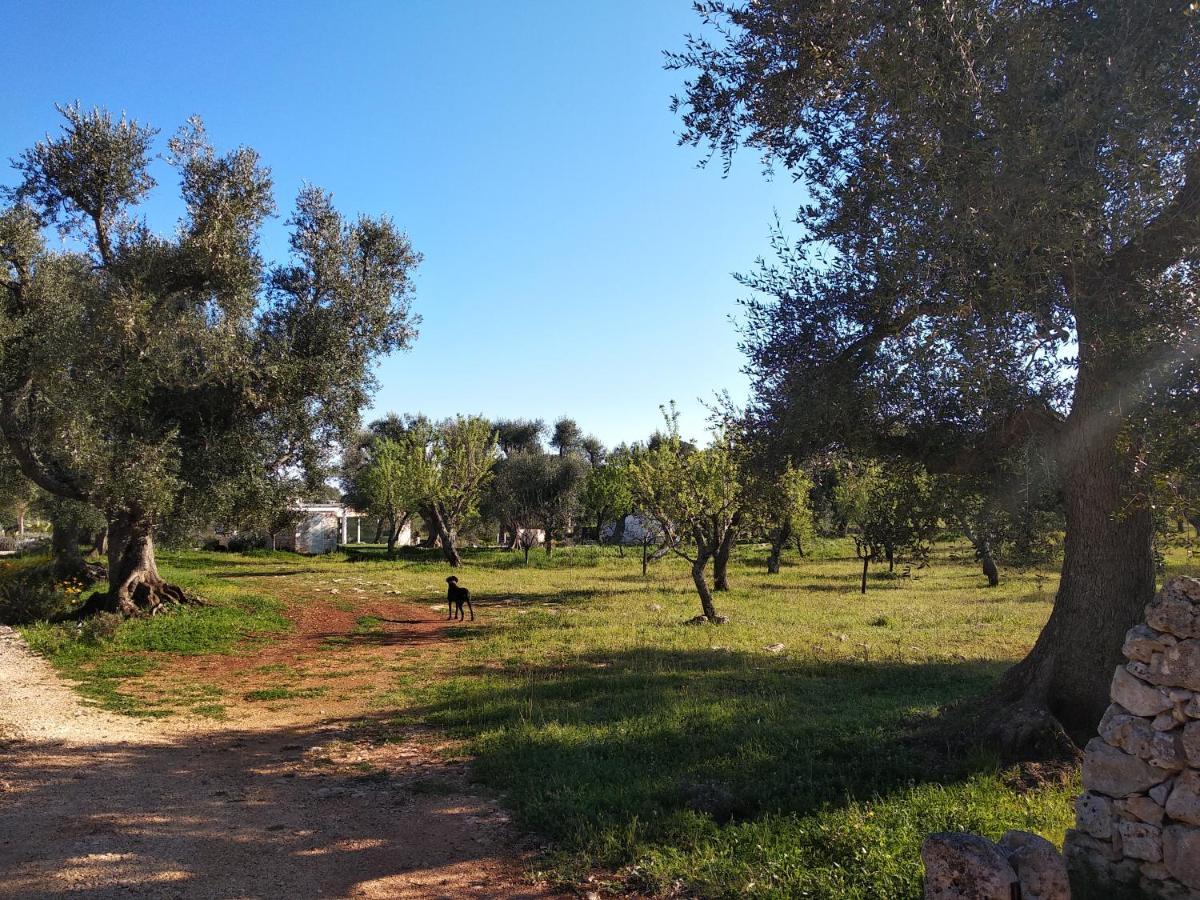 Piccolo Trullo Ostunese Le Jardin de Sophie' Ostuni Extérieur photo