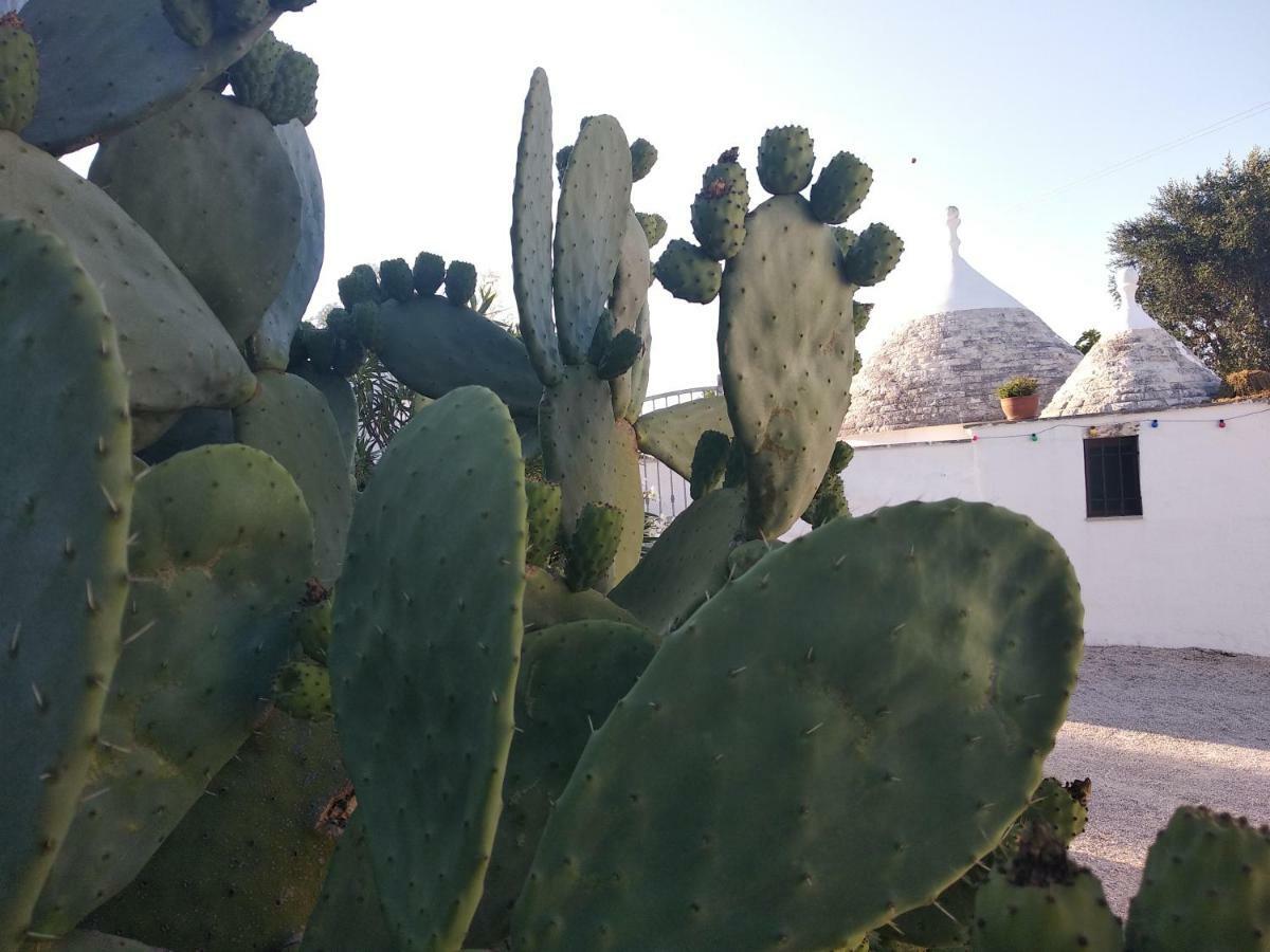 Piccolo Trullo Ostunese Le Jardin de Sophie' Ostuni Extérieur photo